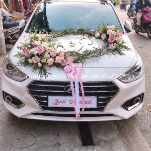 xe hoa đưa râu siêu đẹp