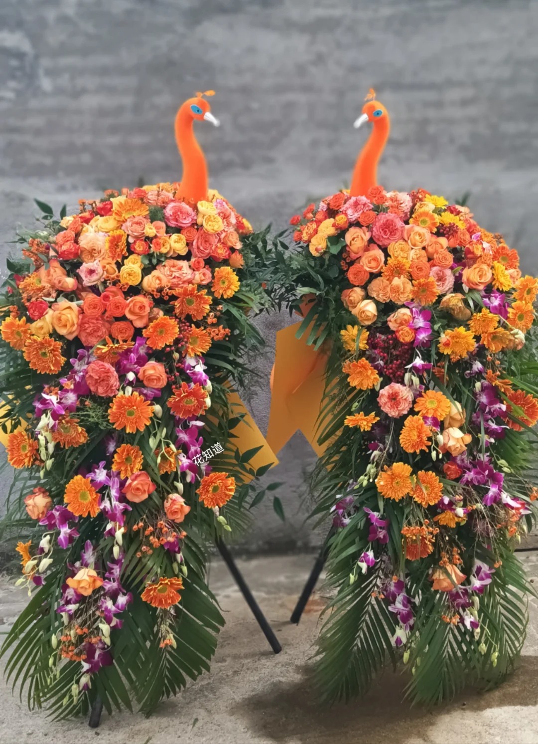 Chuyên Nghiệp và Tận Tâm