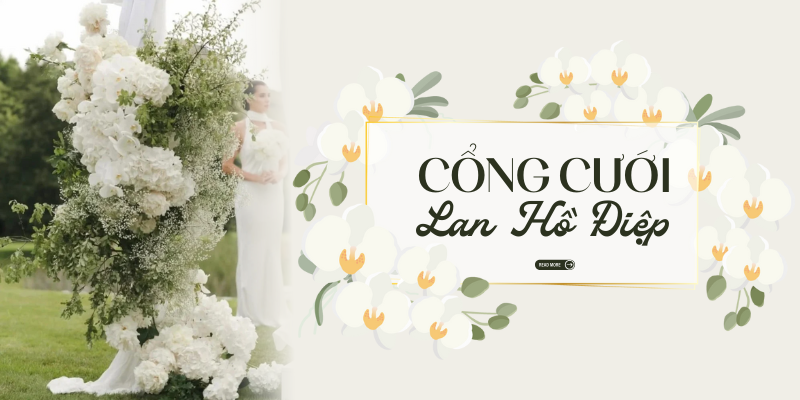 Độc Đáo Với Các Kiểu Cổng Hoa Cưới Bằng Lan Hồ Điệp