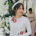 Họa Mi